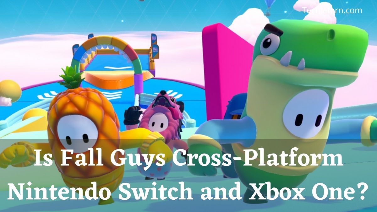 Is Fall Guys Cross-Platform Nintendo Switch and Xbox One?