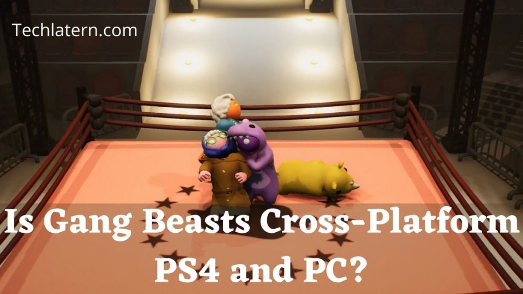 Is Gang Beasts Cross-Platform PS4 and PC?