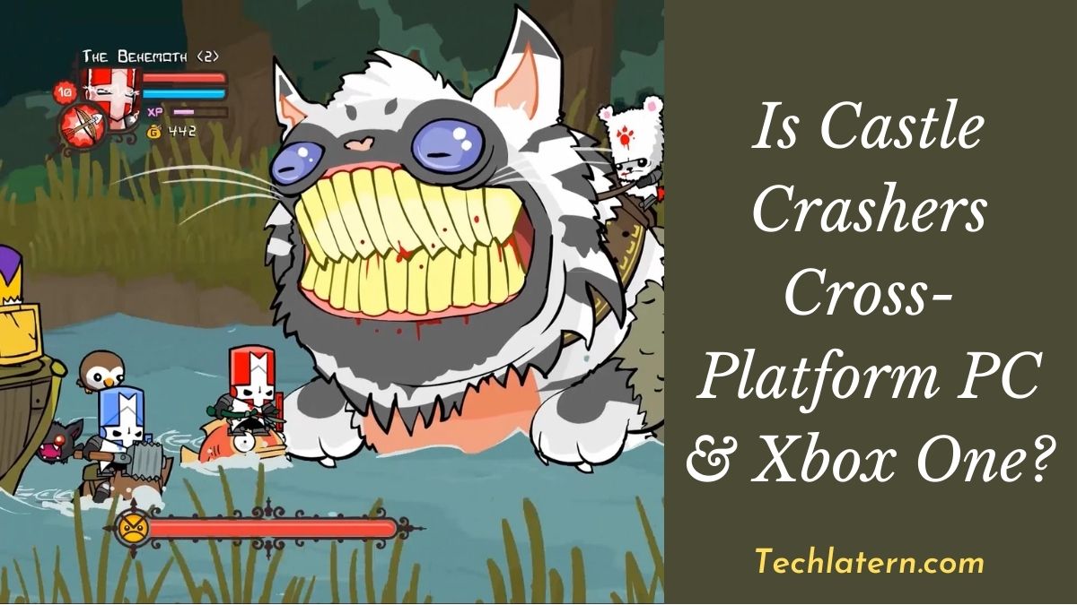 Is Castle Crashers Cross-Platform PC & Xbox One?