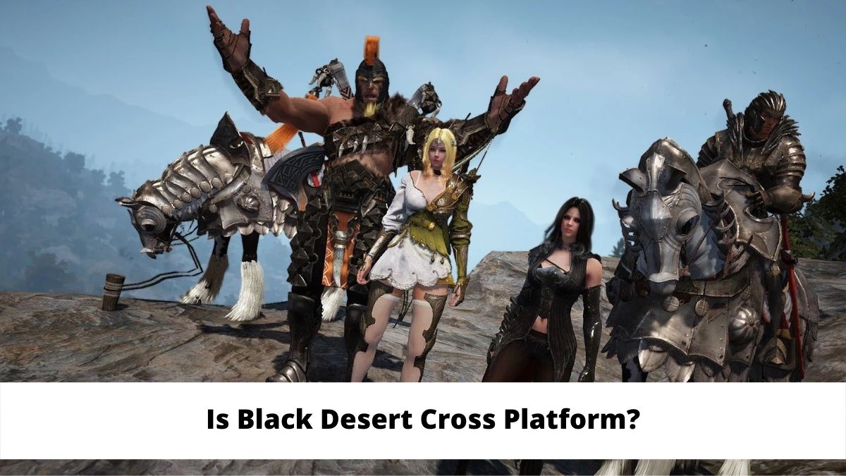 Is Black Desert Cross Platform?