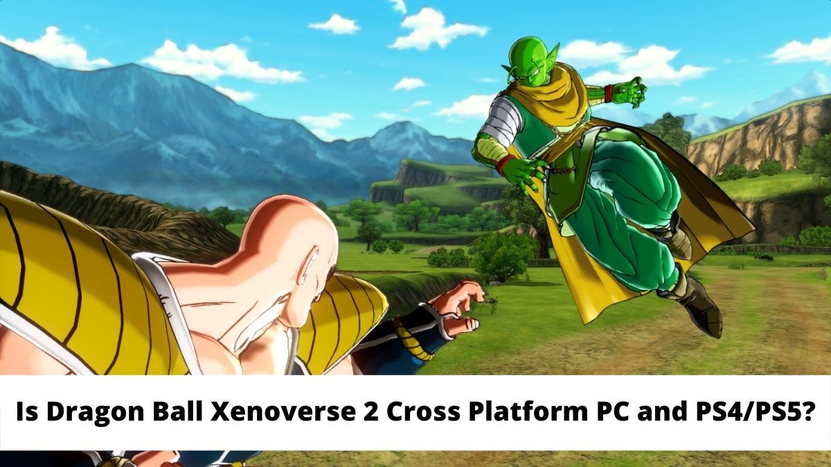 Is Dragon Ball Xenoverse 2 Cross Platform PC and PS4/PS5?